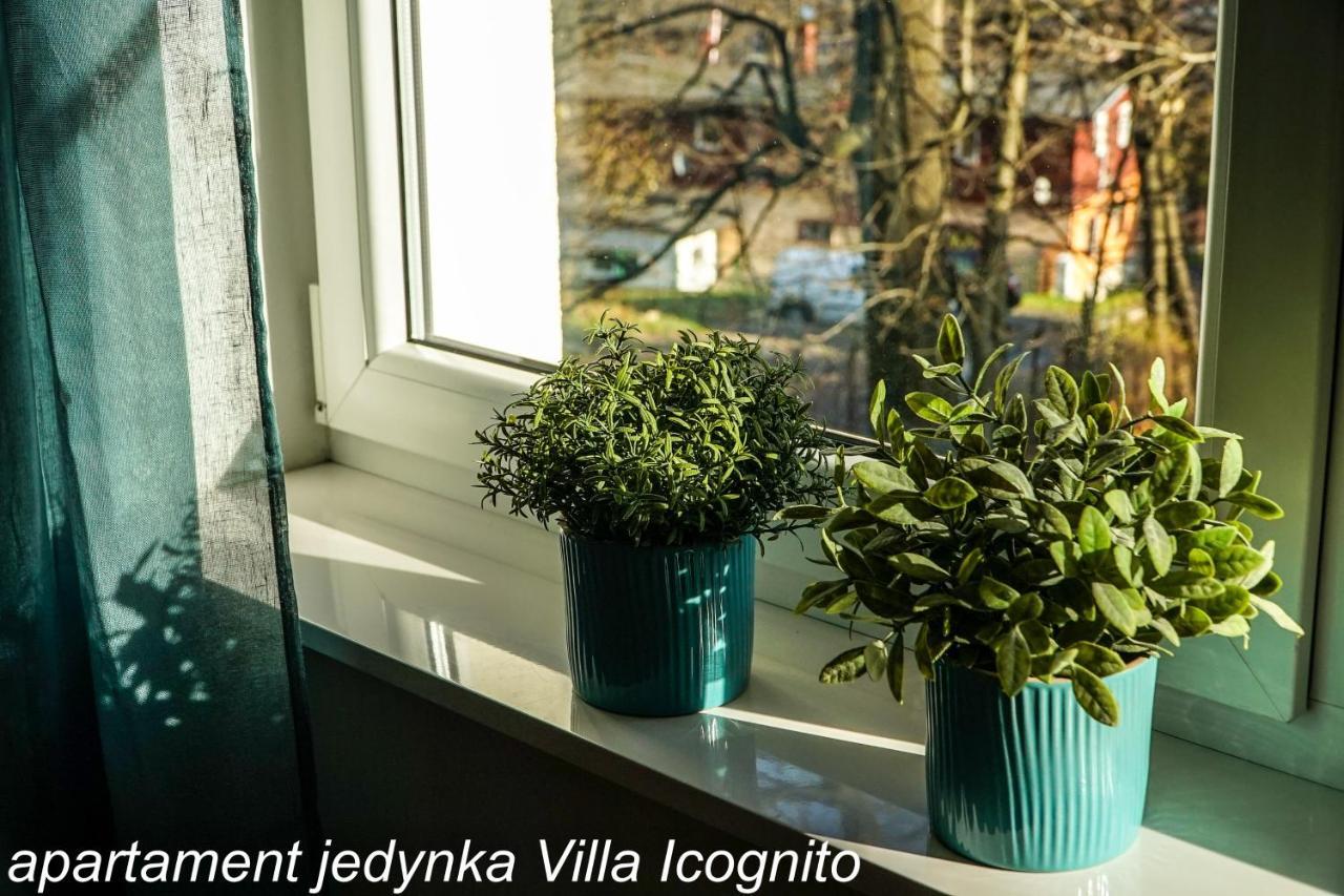 Apartament Jedynka Villa Incognito Szklarska Poręba Exteriör bild